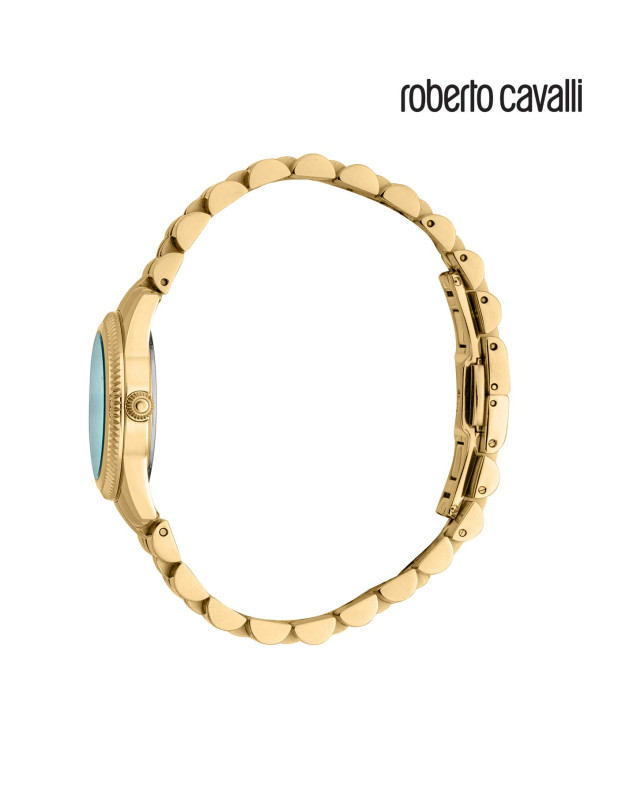 Roberto Cavalli Ladies Watch with Bracelet